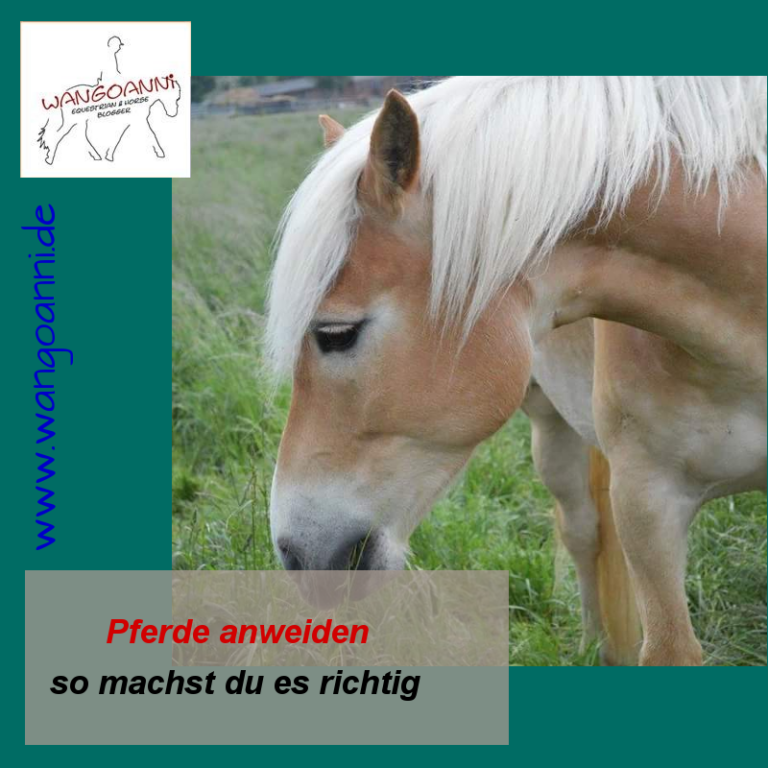 Die Fellfarben der Pferde