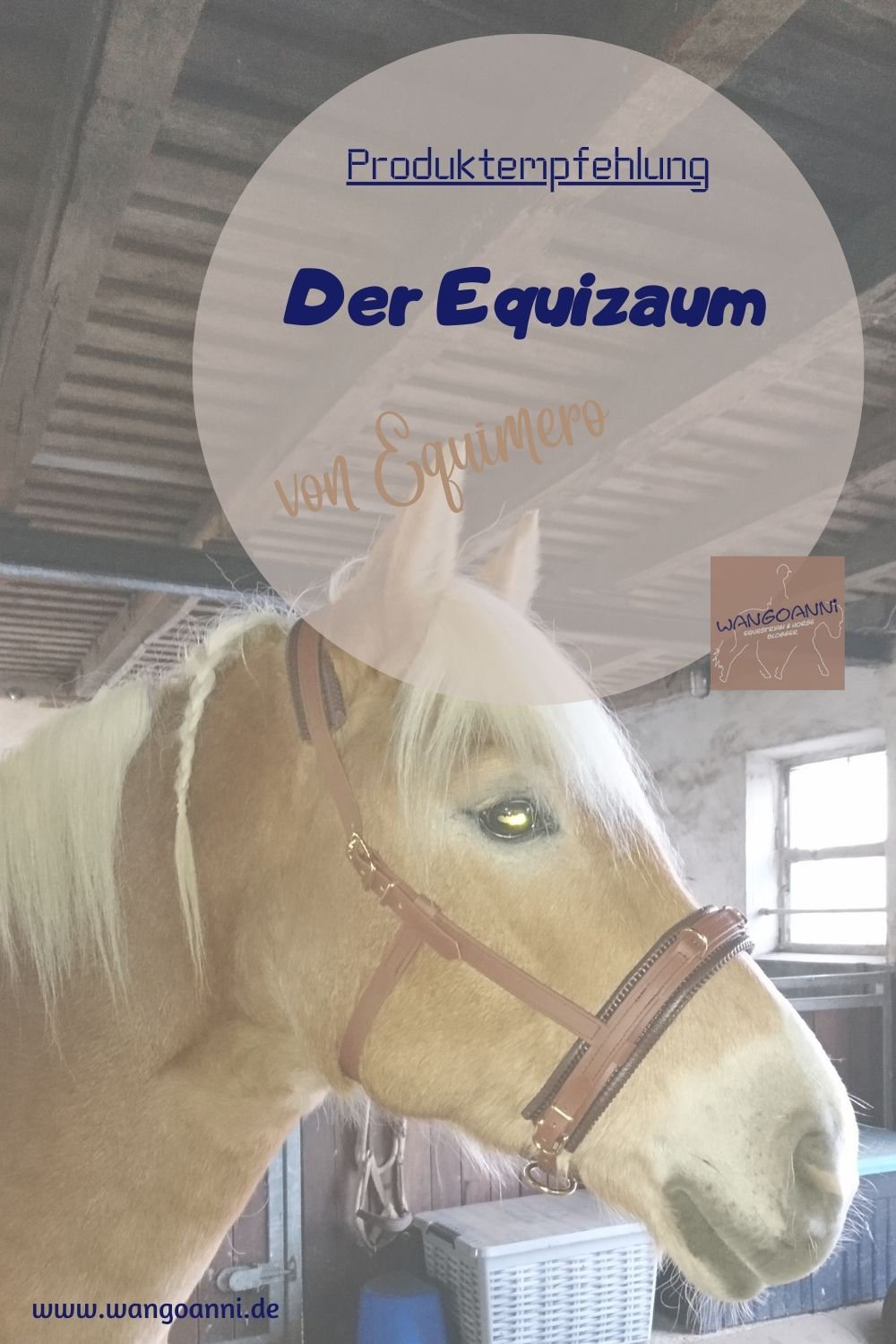 Outlet Equizaum equimero VB